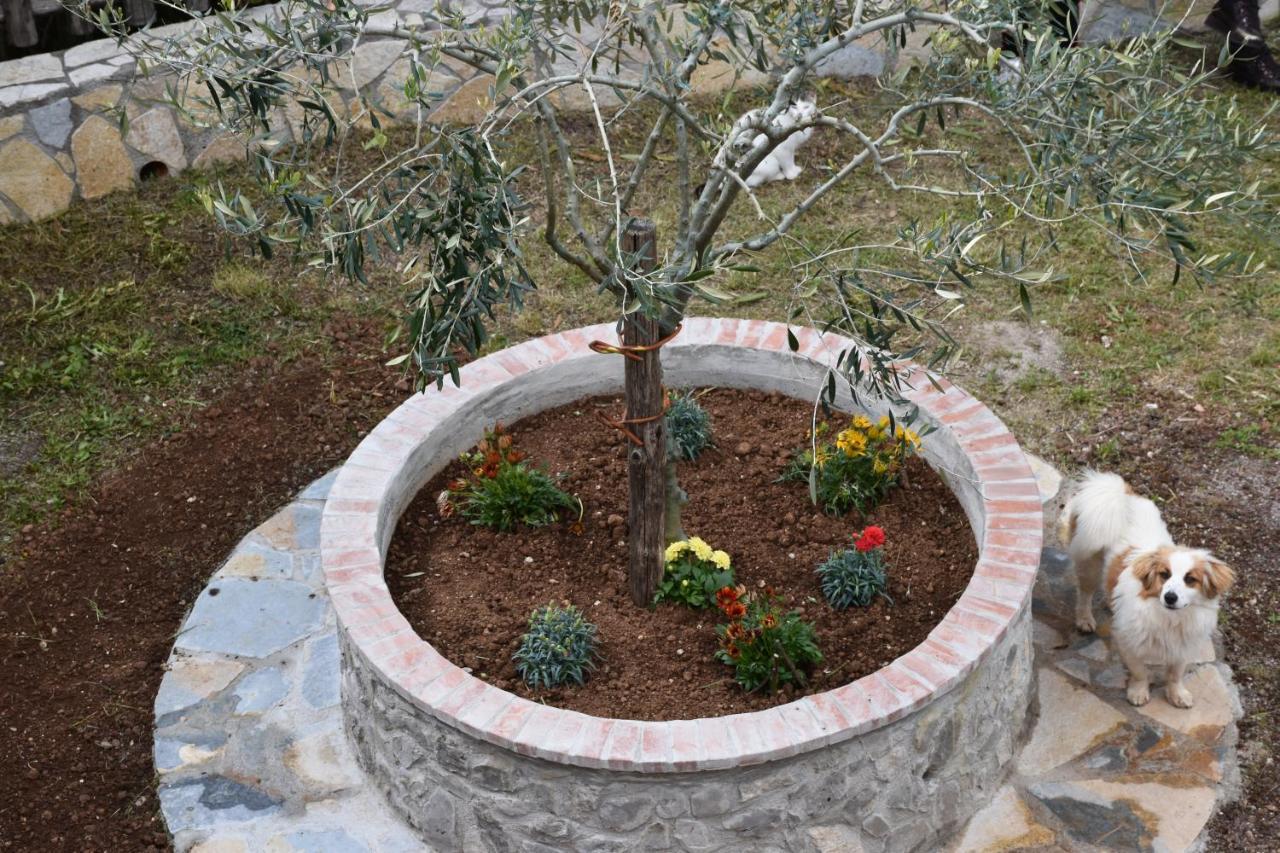 B&B Nel Verde Montesano sulla Marcellana Exterior foto